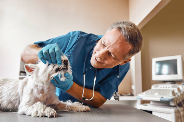 Best Emergency Wisdom Tooth Extraction in Crystal City, TX